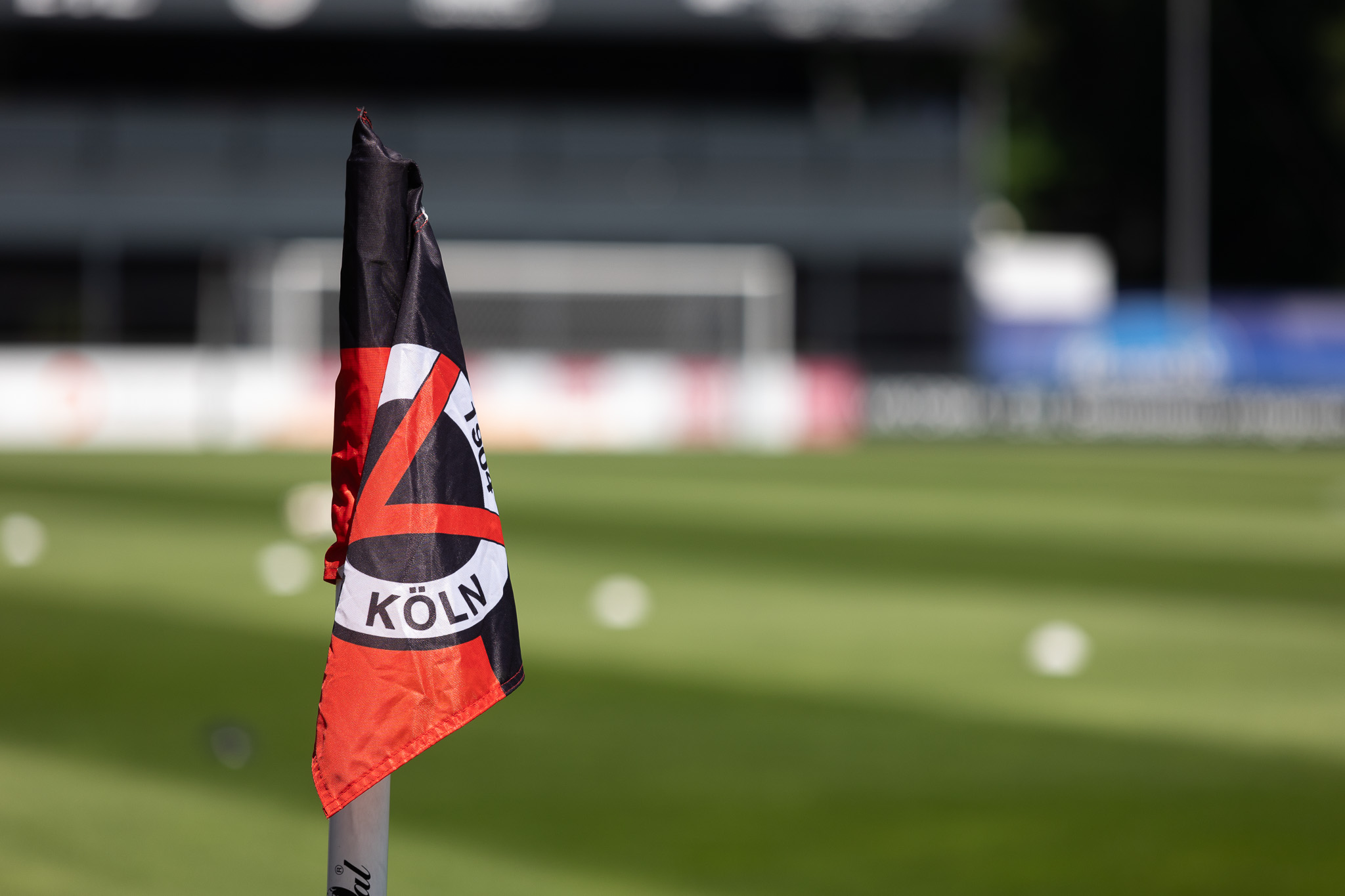 Veränderungen für die Saison 24/25- der Saisonreport