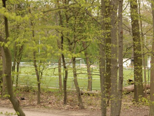 Viktoria sucht Greenkeeper/-in