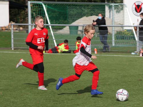 Endlich wieder Feriencamps im Sportpark Höhenberg!