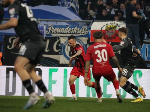 Gegnercheck: Neuer Zebra-Anführer soll Rote Laterne abgeben